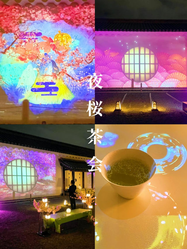  【京都】2024年も開催決定！世界遺産二条城で楽しむ夜桜イベント🌸🏯