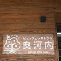 【大阪・道の駅ランチ】バイキングでお腹いっぱい食べられる場所😋