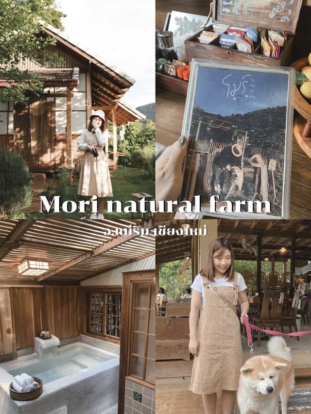 มัดรวม 6 ที่พัก ที่ประทับใจที่สุดในเชียงใหม่ 