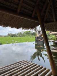 峇里田園餐廳🍴Ubud人氣水上用餐🙉Bebek Tebasari Resto☺️