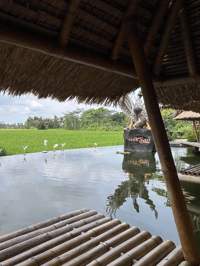 峇里田園餐廳🍴Ubud人氣水上用餐🙉Bebek Tebasari Resto☺️