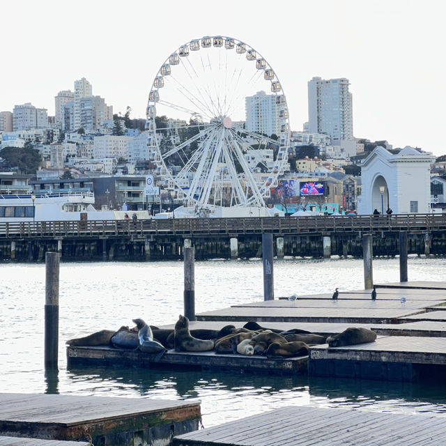 Nice trip @ Pier39 San Francisco