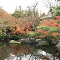 Himeji Park 🌿💐🌺