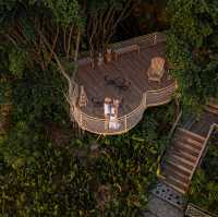 ที่พักบรรยากาศดีที่เขาสก หมอกปังมาก🌳