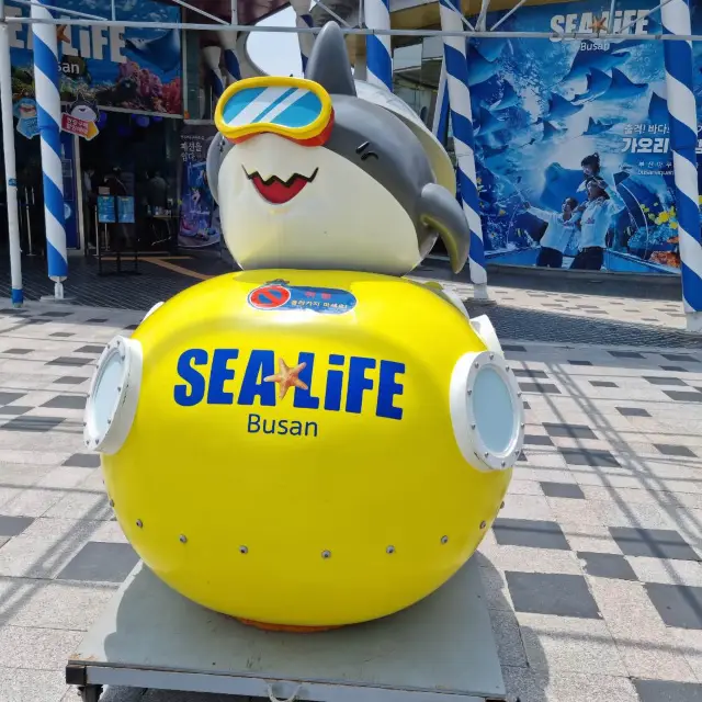 “sealife” in Busan