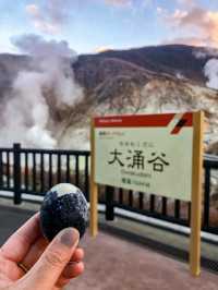 【神奈川】箱根フリーパスにて日帰り旅行を