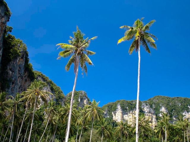 Tonsai Beach