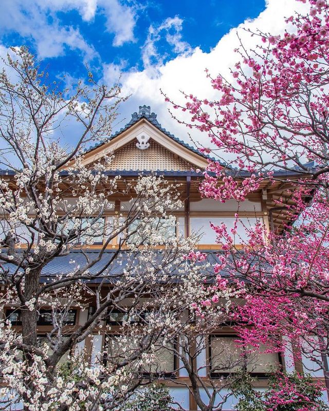 This Shrine is very nice and worth visiting.