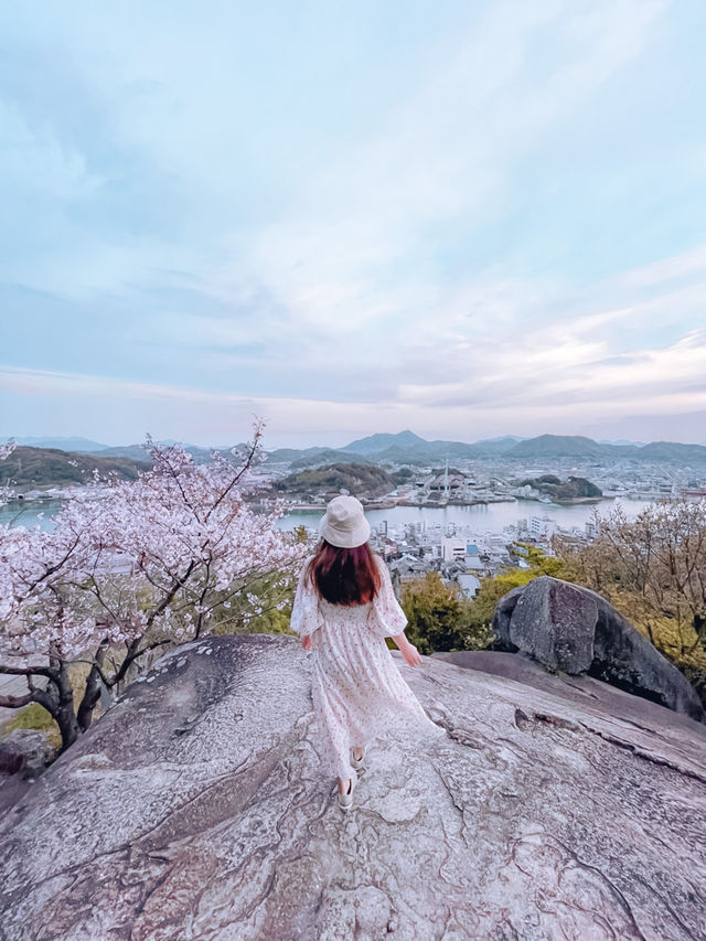 【広島】尾道水道×桜の眺めが絶景すぎる千光寺公園！