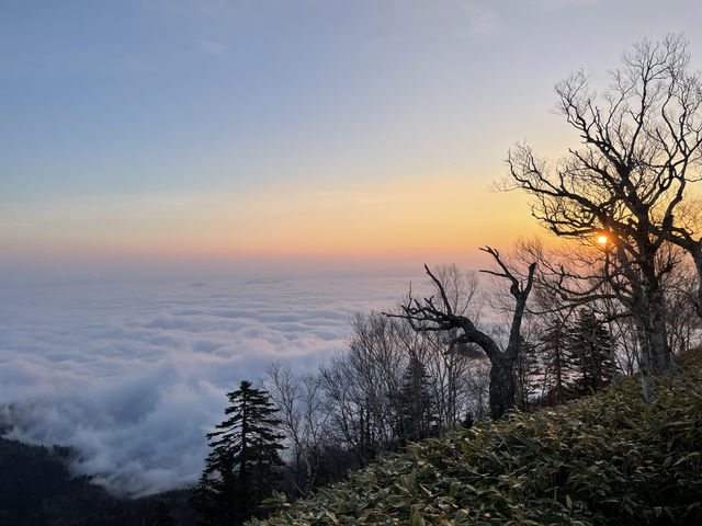 道東旅行で大自然に溶け込み、感動の絶景スポットを巡りました！