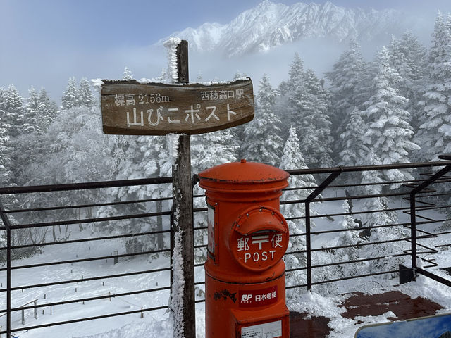 Shinhotaka Ropeway ในวันที่หิมะตก❄️☃️