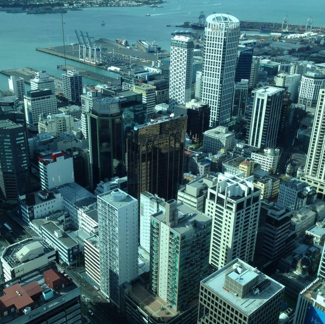 An icon of Auckland's city skyline