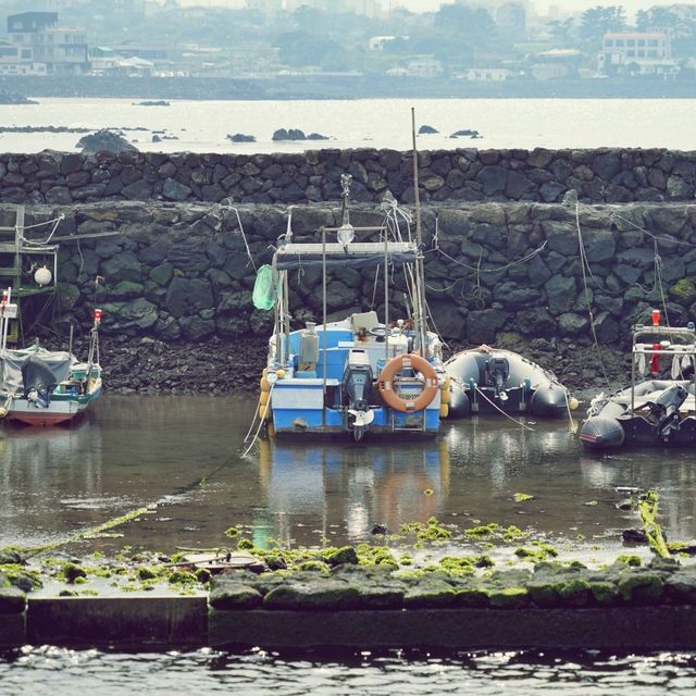 🌊 샛도리물, 제주 삼양의 신성한 용천수