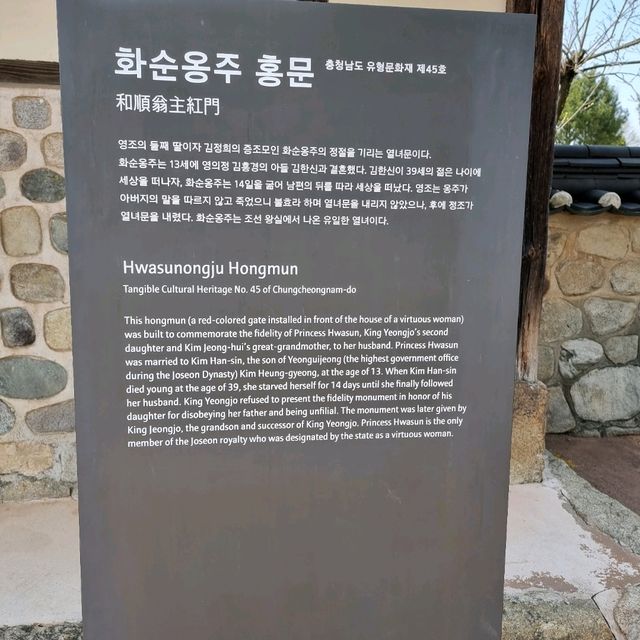 수선화가 만발한 추사고택