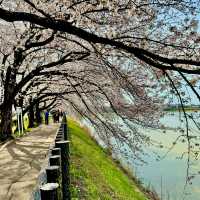 石垣池公園