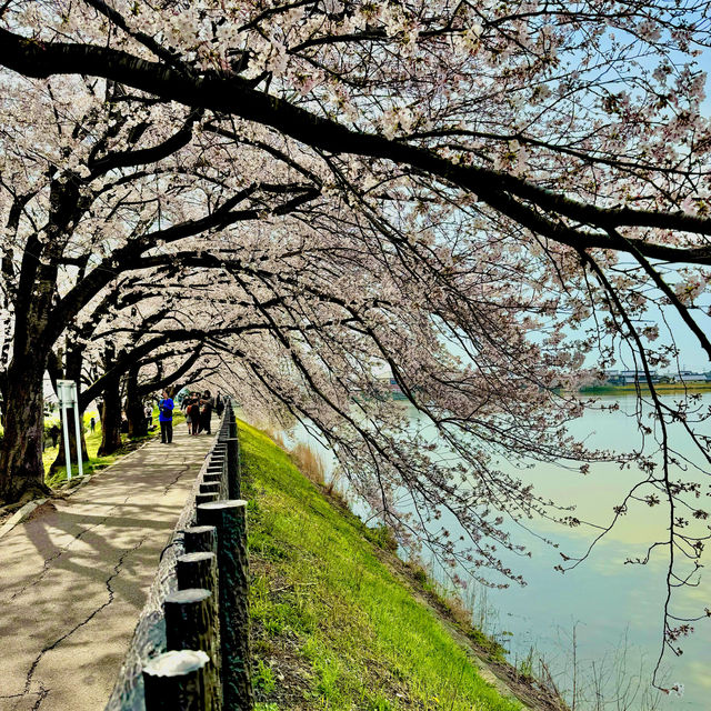 石垣池公園