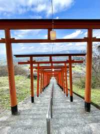 【福岡】連なる鳥居の先にある見晴らしのいい神社