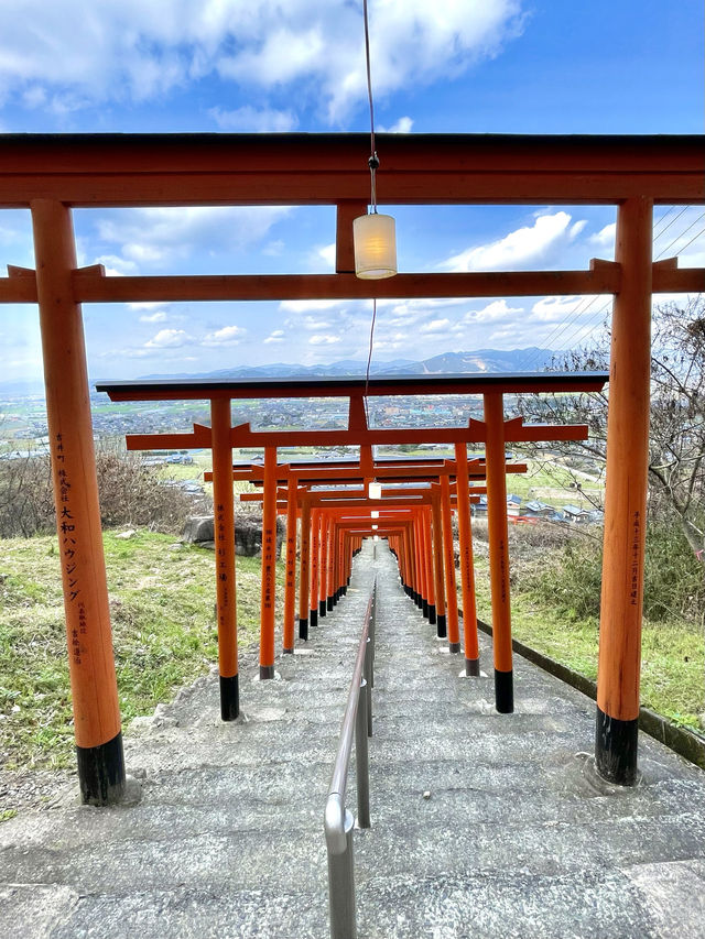 【福岡】連なる鳥居の先にある見晴らしのいい神社