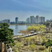 도심 속 여유로운 데이트 장소, 원천호수🍀