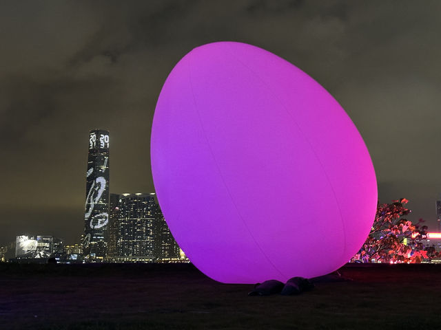 香港好去處 | 金鐘添馬公園 | teamLab: 光漣