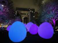 香港好去處 | 金鐘添馬公園 | teamLab: 光漣