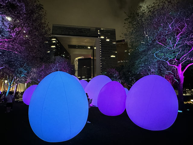 香港好去處 | 金鐘添馬公園 | teamLab: 光漣