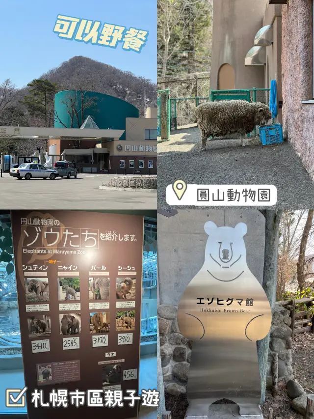 暢遊市區動物園🙉北海道圓山動物園🫶🏻