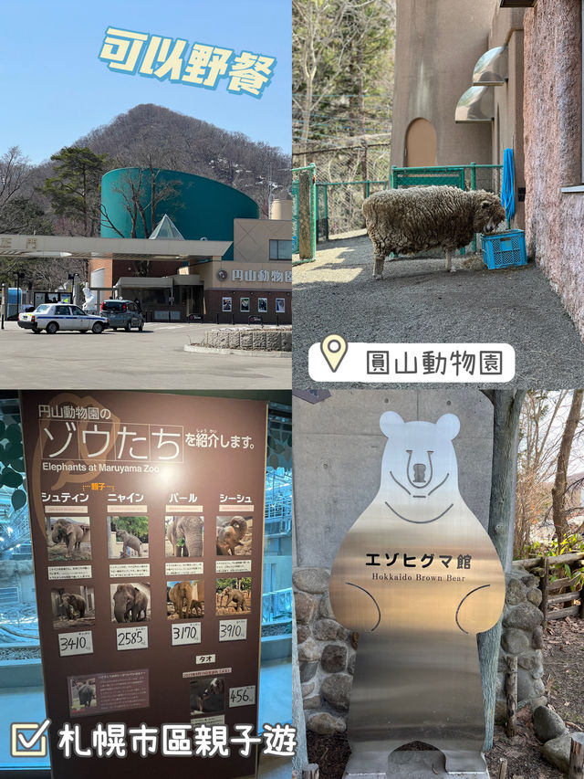 暢遊市區動物園🙉北海道圓山動物園🫶🏻