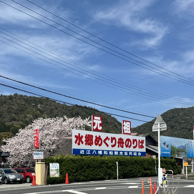 【滋賀】手漕ぎの舟から愉しむ優雅なお花見