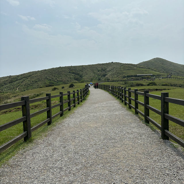 Qingtiangang Grassland