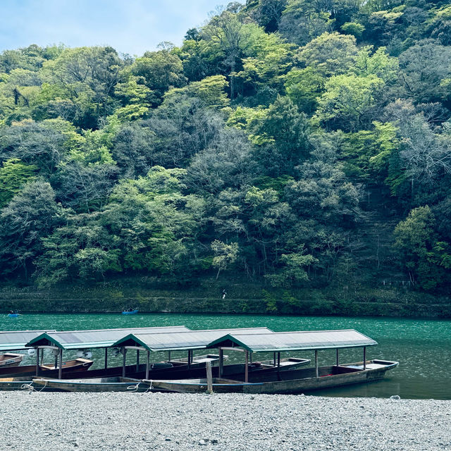 Chasing final Sakura at Osaka and Kyoto - Mid April 