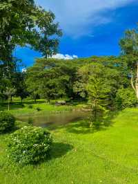 ธรี วิเวอร์ แคมป์ปิ้ง🌳⛺️