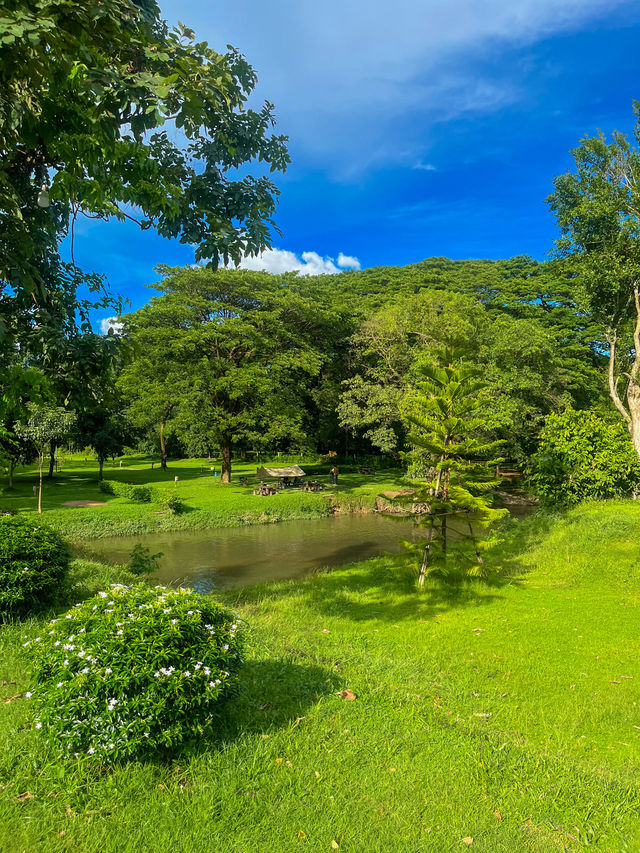 ธรี วิเวอร์ แคมป์ปิ้ง🌳⛺️