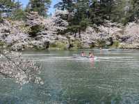 弘前公園櫻花適合春天遊玩