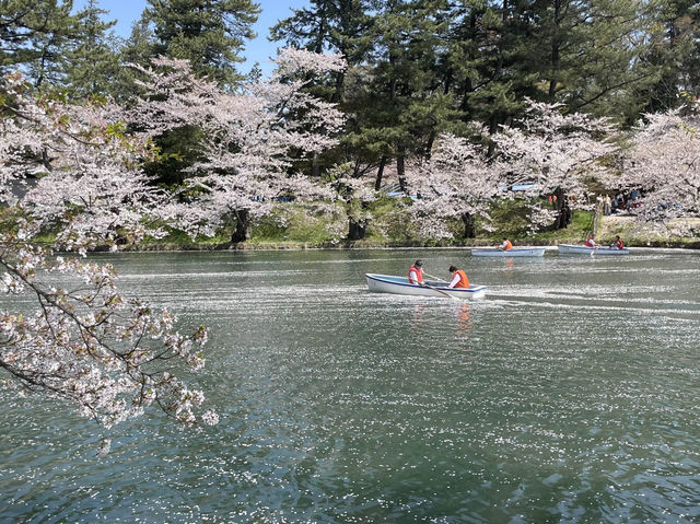弘前公園櫻花適合春天遊玩
