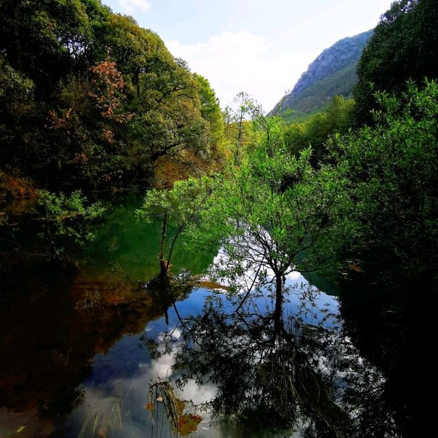 拉市海•高原的湖光山色