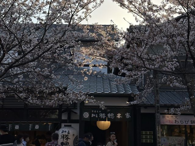 Arashiyama where the wind meets the mountains 