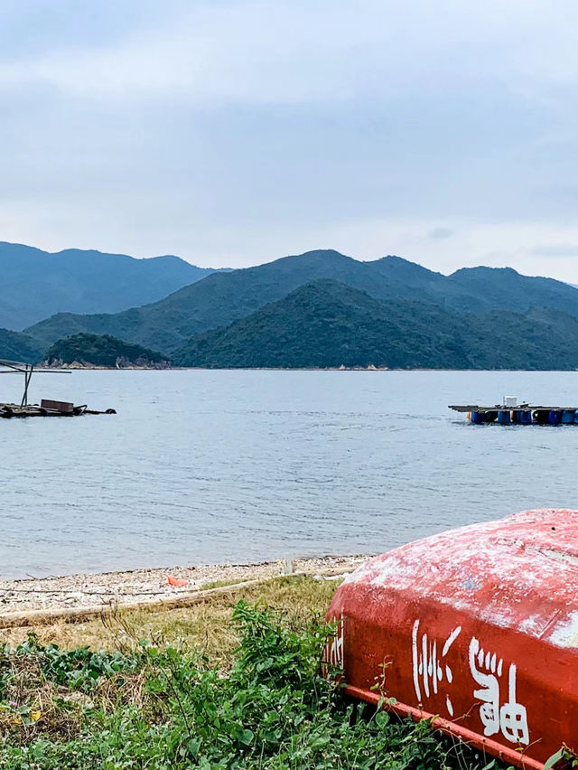 夏日探秘：鴨洲的紫色海蝕洞之旅