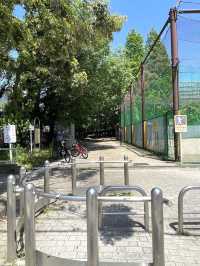 【正一位稲荷神社/東京都】貞明皇后と関わりあると思われる