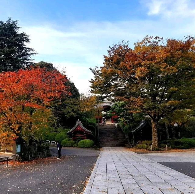 The Gokokuji Temple