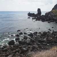 足摺岬：絕美海岬風景區，適合春天旅遊