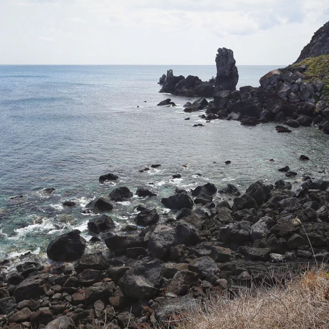 足摺岬：絕美海岬風景區，適合春天旅遊