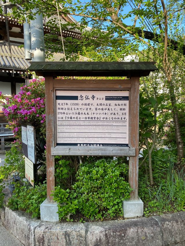 【有馬】ねね様と太閤秀吉 【有馬】ねね様と太閤秀吉