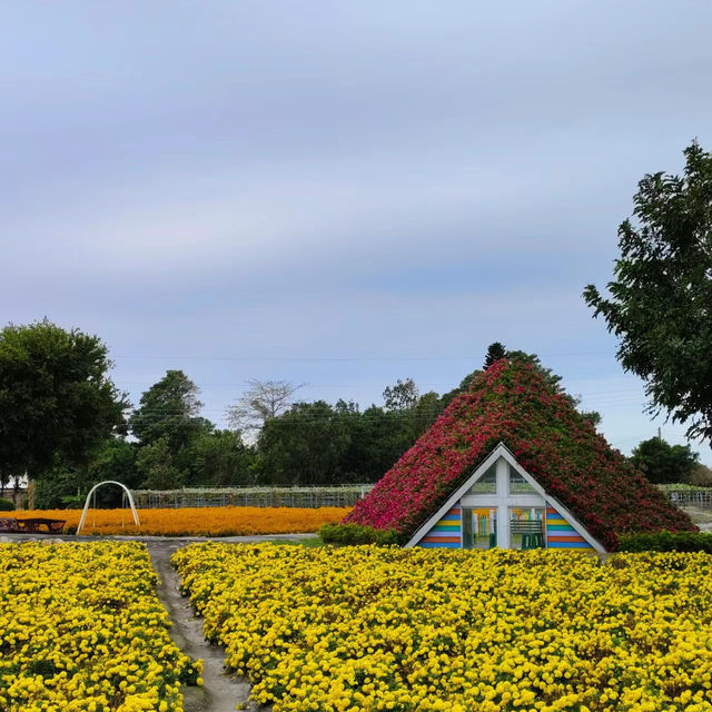 「臺北花博公園：絢爛多彩的花卉世界，與自然互動」