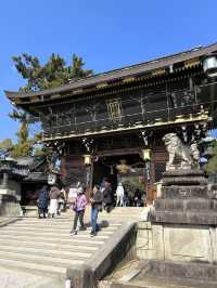 【京都観光】願い事がひとつ叶う｢ナデ牛｣のいる北野天満宮へ🌸