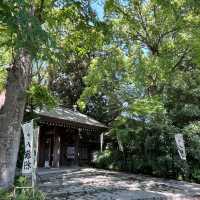 源覺寺：日式庭園美學與禪宗哲思的京都名寺，感受日本傳統藝術之美與精神內涵