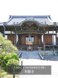 【多聞寺/東京都】たぬきにまつわる伝承ある寺院