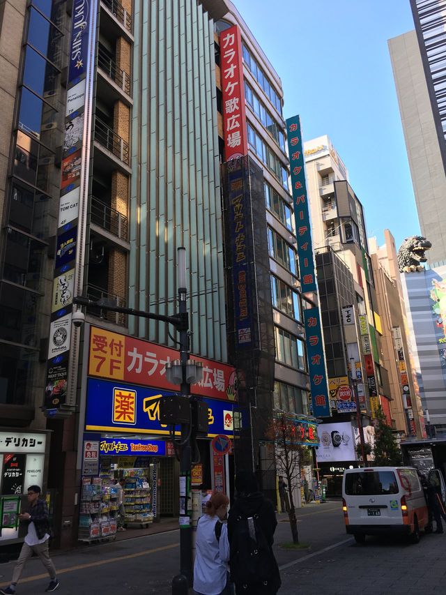 探索東京魅力：歌舞伎町的繁華景象
