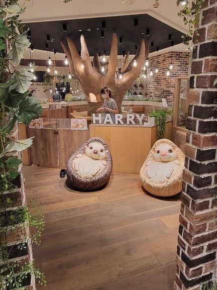 Harry's Hedgehog Cafe 