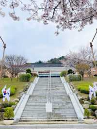 창원 태극기와 벚꽃을 함께 볼 수 있는 곳🇰🇷💗